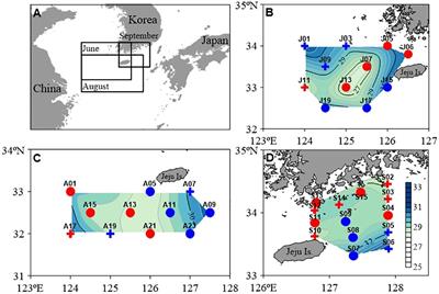 Trophic niche of a neustonic copepod community sustained by local production in high- and low-salinity summer water masses in the northeastern East China Sea
